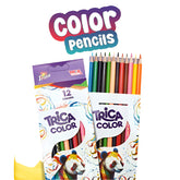 Bahadur Trica Big Size Color Pencils – 12 Fun Colors for Kids